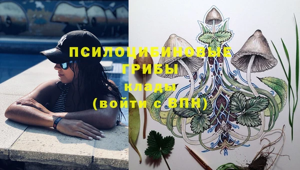 мдпв Армянск