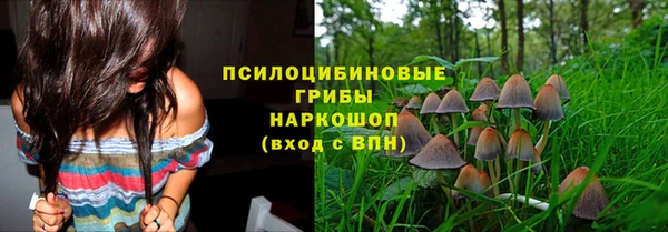 spice Аркадак