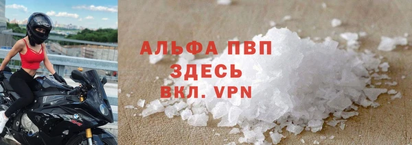 spice Аркадак