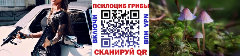 сколько стоит Тавда Псилоцибиновые грибы Magic Shrooms